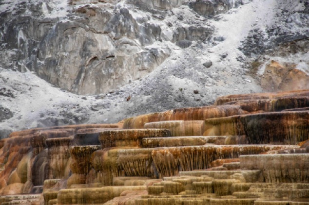 Yellowstone Mammoth Hot Springs